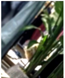 BANKER | デニムパンツ