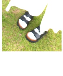 Champion | ソックス/靴下