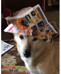 女の子なのに…ww | その他