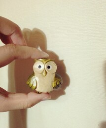 ブローチ/コサージュ