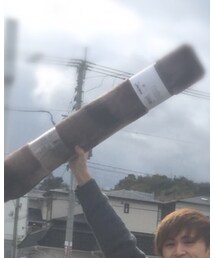 丸太(カーペット) | その他