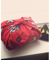 バッグの中身 | イシグロアヤコさんの妖怪猫風呂敷に服類をまとめて。(バッグ)