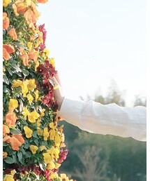 UNIQLO | シャツ/ブラウス