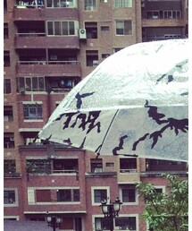 Carhartt WIP | 長傘