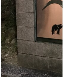 HAMILTON | アナログ腕時計