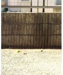 FOSSIL | アナログ腕時計