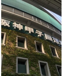 甲子園 | その他