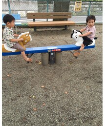 シーソー兄弟 | その他