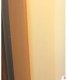 UNIQLO | ダウンベスト