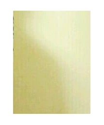 アーノルド・パーマー | シャツ/ブラウス