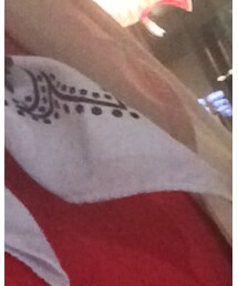 the Verginia | バンダナ/スカーフ