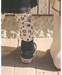 Birthday | ソックス/靴下