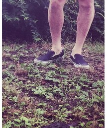 VANS | スニーカー