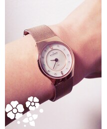 SKAGEN | アナログ腕時計