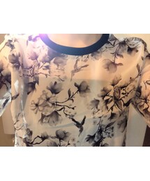 シャツ/ブラウス