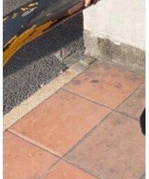 Dr. Martens | ブーツ