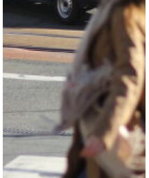 LEPSIM | マフラー