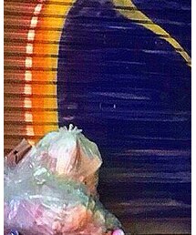 Gramicci | チノパンツ