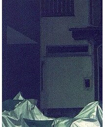 Carhartt | スウェット