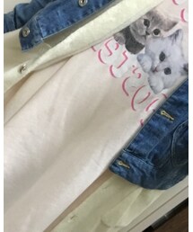 Ank Rouge | ワンピース