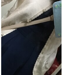 Ank Rouge | ワンピース