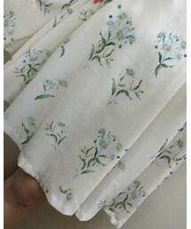 Ank Rouge | ワンピース