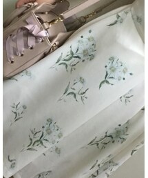 Ank Rouge | ワンピース