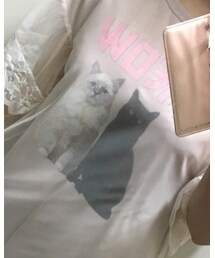 Ank Rouge | ワンピース