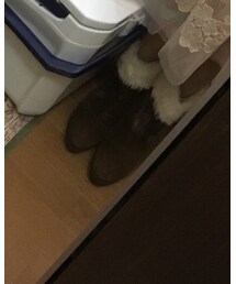 Ank Rouge | ブーツ