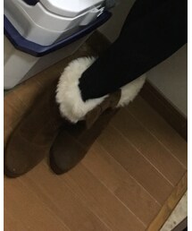 Ank Rouge | ブーツ