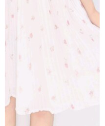 Ank Rouge | ワンピース