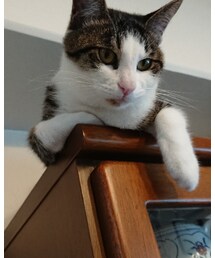 るな。くん | その他