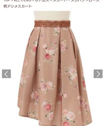 LIZ LISA | スカート