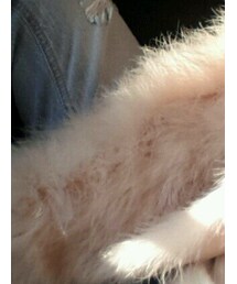 Rady | その他アウター