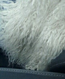 SENSE OF PLACE by URBAN RESEARCH | その他アウター