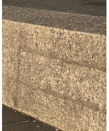 Levi's | Tシャツ/カットソー