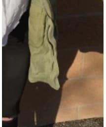 Hollister | ミリタリージャケット