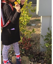 防犯の笛 | その他