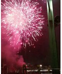 隅田川花火大会🎆の「その他(その他)」