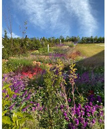 grandberry park🍀 | その他