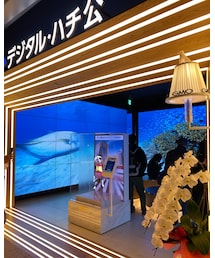 デジタルハチ公🐕 | その他