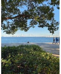 みなとみらい⚓️ | その他