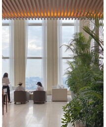 𝐓𝐇𝐄 𝐓𝐎𝐊𝐘𝐎 𝐄𝐃𝐈𝐓𝐈𝐎𝐍, 𝐓𝐎𝐑𝐀𝐍𝐎𝐌𝐎𝐍🌴 | インテリア