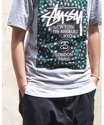 STUSSY | Tシャツ/カットソー