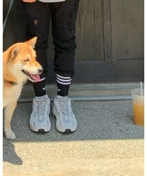 Yeezy | スニーカー