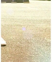 adidas | スニーカー