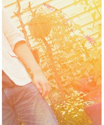 GAP | Tシャツ/カットソー