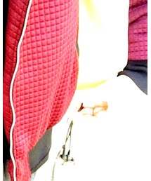 LACOSTE | アナログ腕時計