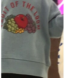 FRUIT OF THE LOOM | スウェット