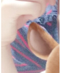 パジャマ代わり | その他